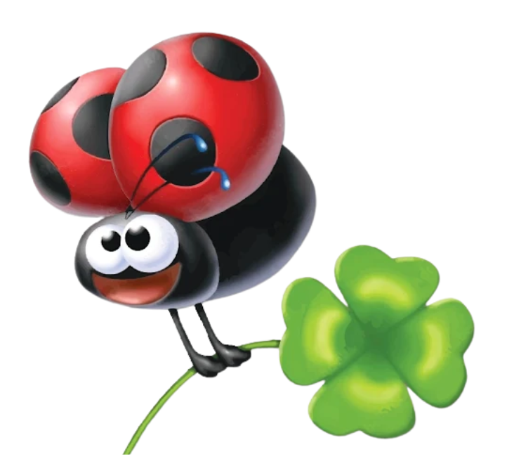 La Coccinella Quarto